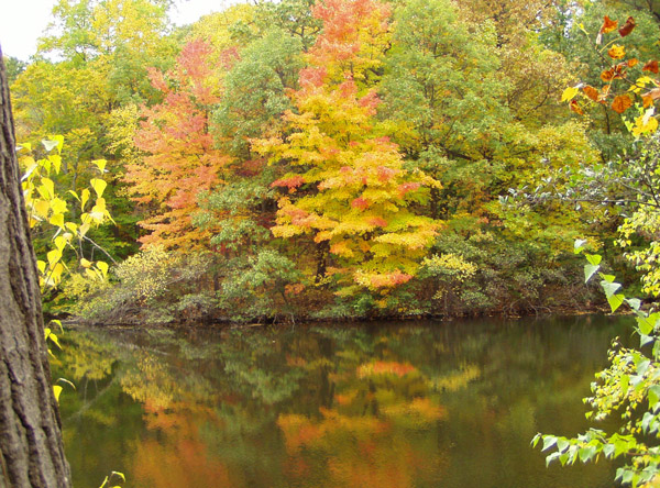 Green Brook Nj
