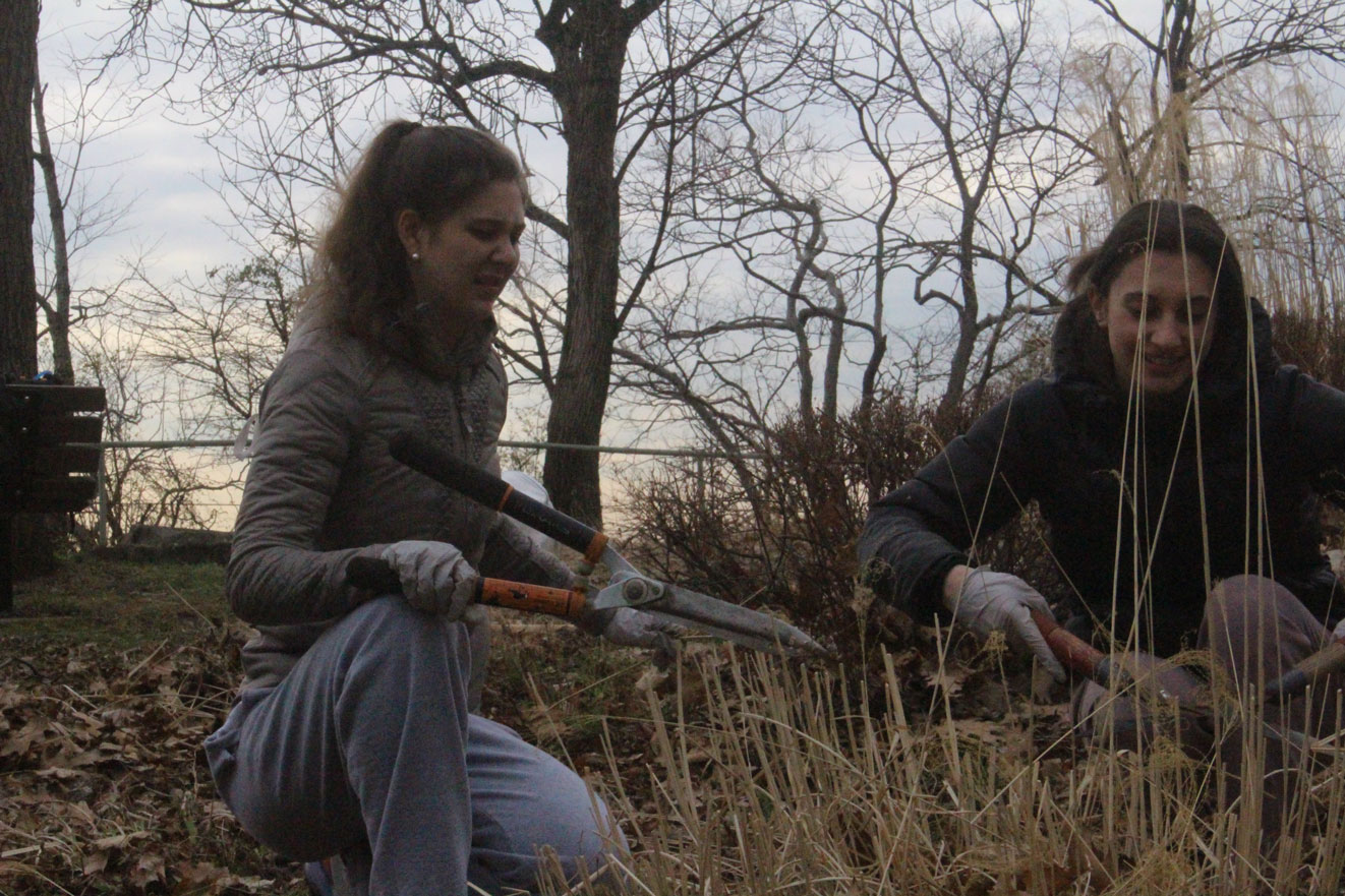 Volunteer clean-up with IHA students