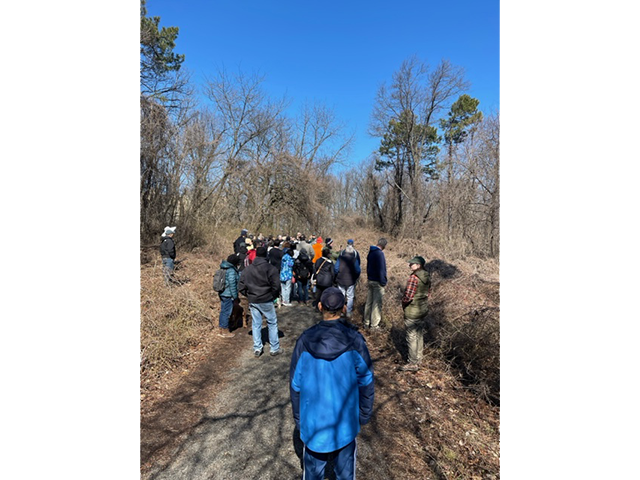 Cliffhanger Point hike