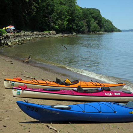 Boating in the park