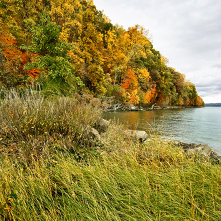 Palisades shoreline