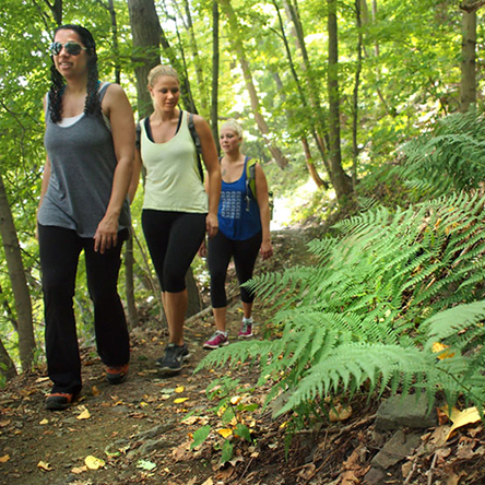 Hiking in the park